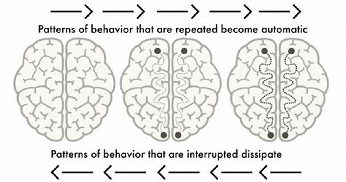 Neuroplasticity
