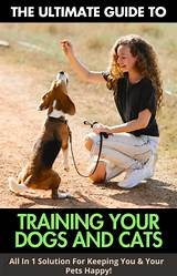 Next Day Pets: Your Ultimate Guide to Fast and Reliable Pet Delivery