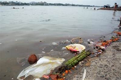 Ngt Seeks to Reduce Pollution in Ganga from Tanneries in Realistic Manner