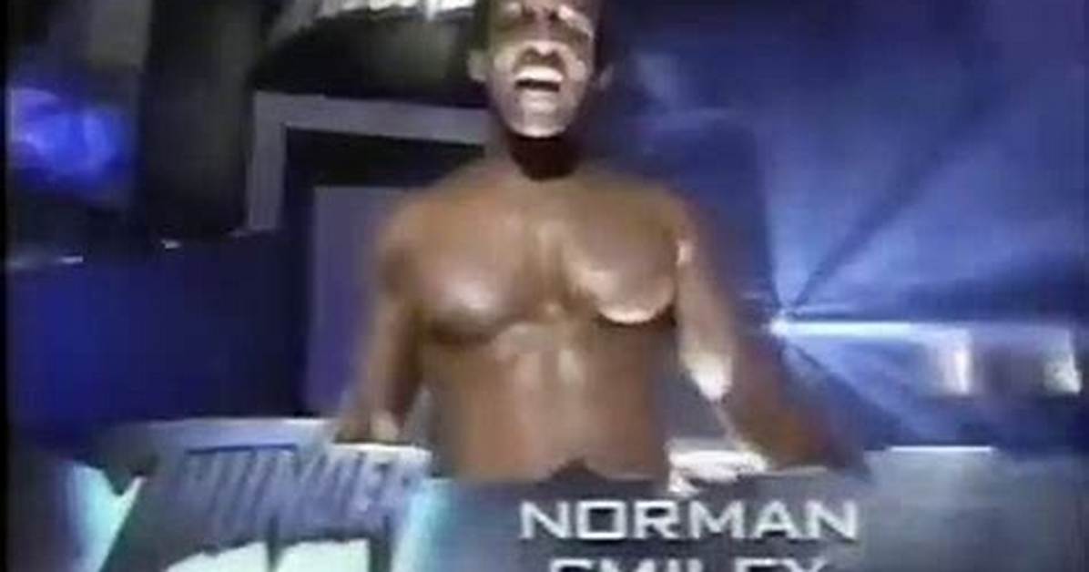 Norman Smiley Net