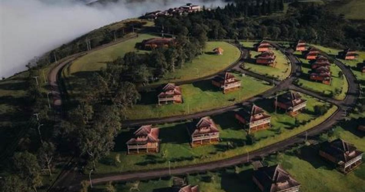 Obudu Cattle Ranch and Mountain Resort Here S All You Need To