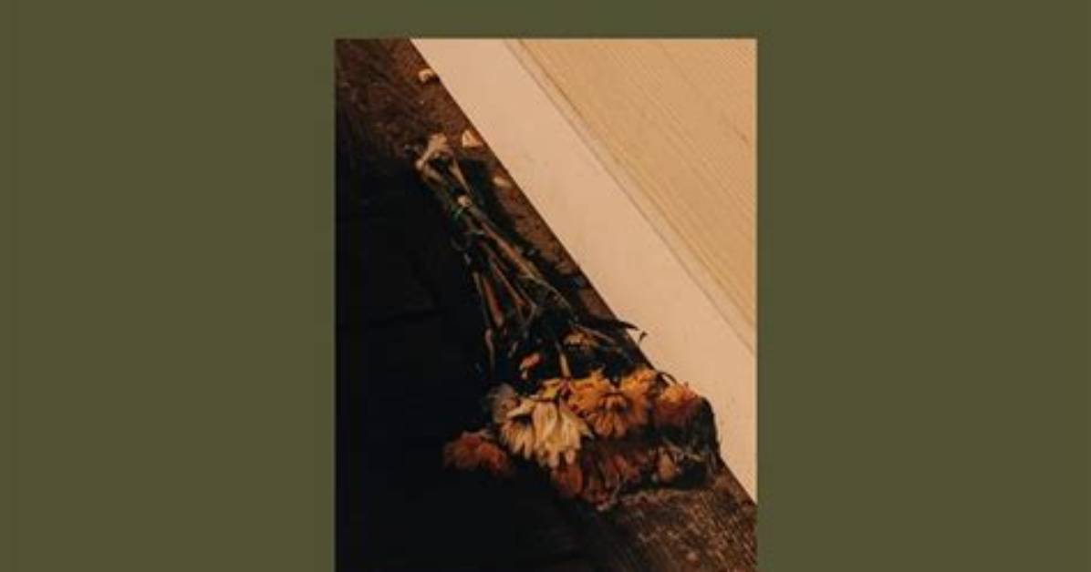 Ocean Vuong Poetry, Books, Mother, Quotes, Partner, and Burnings