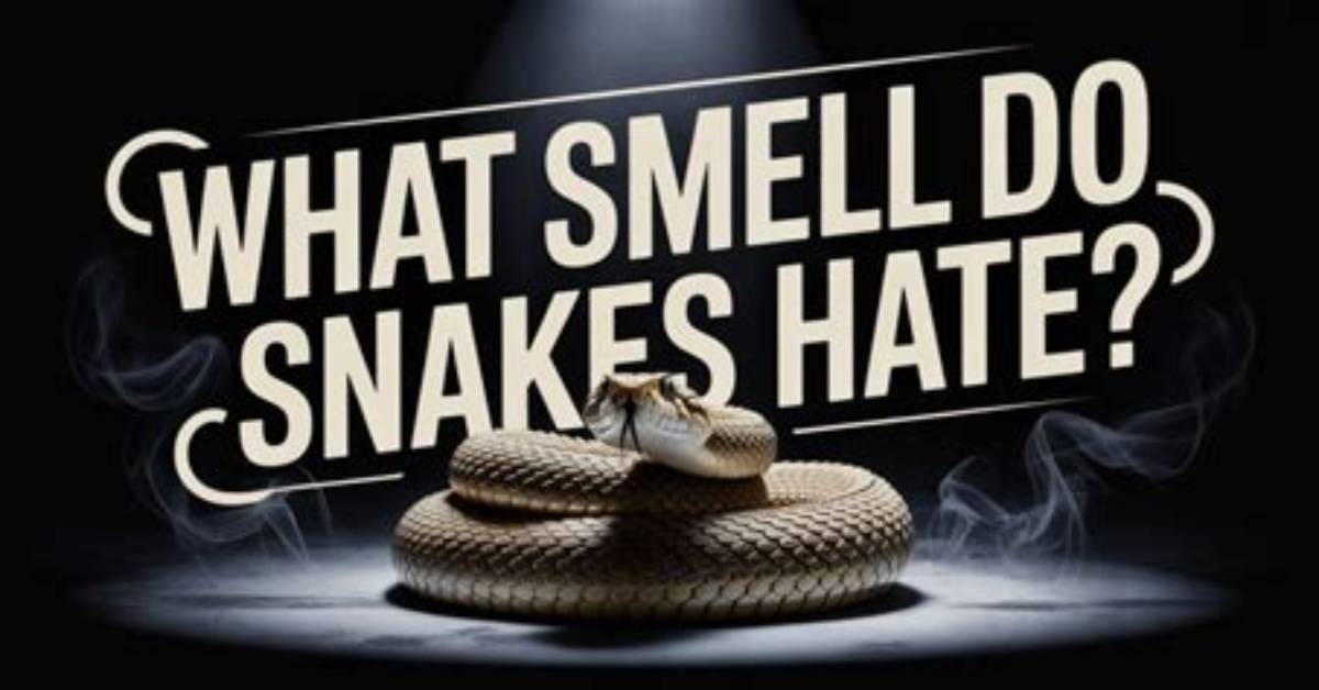 Odors That Snakes Hate