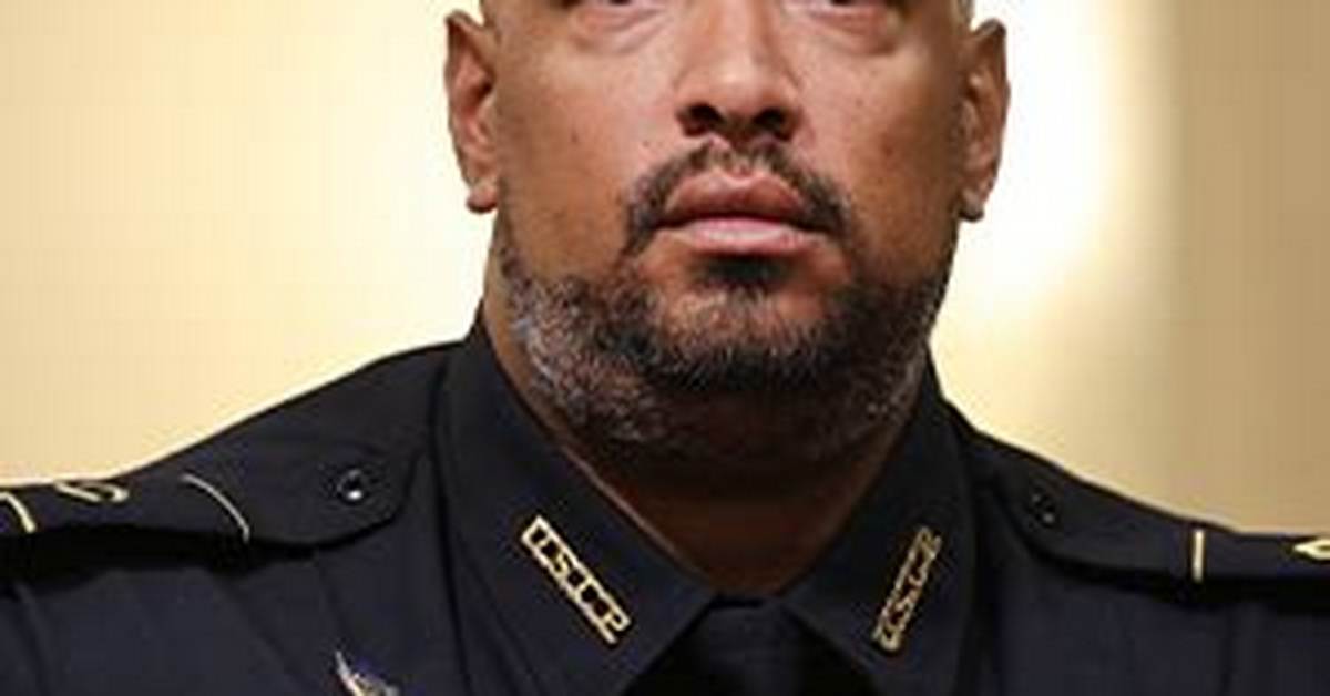 Officer Harry Dunn Was Among the Four Officers Testifying, His Wife and Family Life