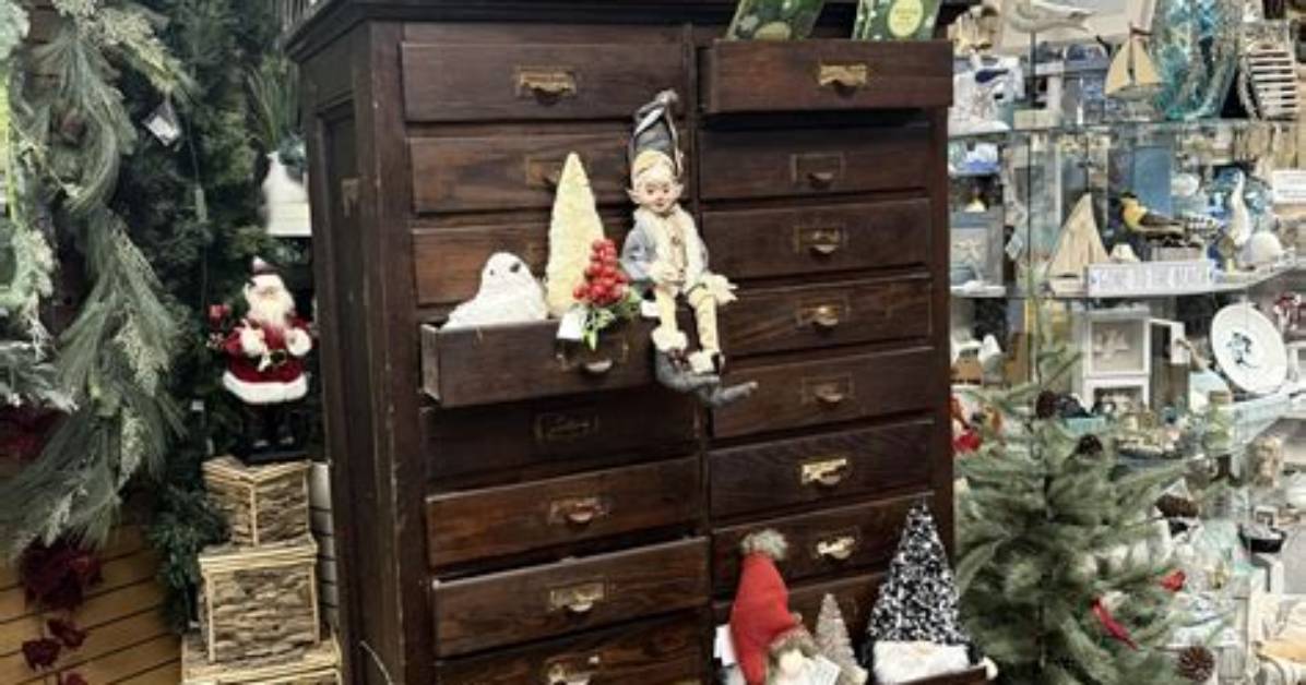 Oh Carol! Amazing Finds & Gifts