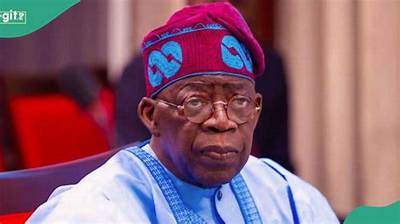 Ohanaeze Exposes Alleged Plots by Sitting Governor to Get Tinubu Sacked