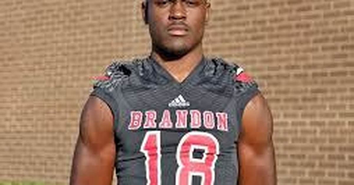 Ole Miss Rebels Jonathan Mingo Grew up Alongside His Elder Half-Brother David Johnson