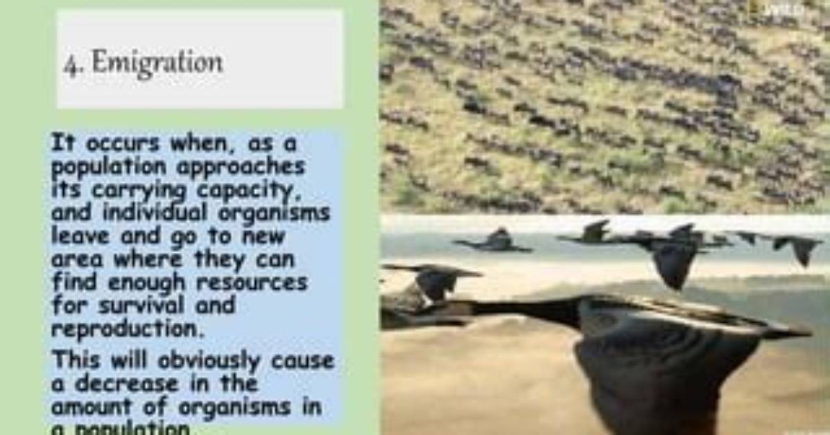 Organisms Leave a Population When They _____.