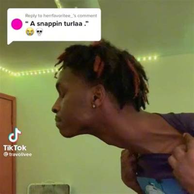 Original "My Lord! a Snappin' Turla" Video Explained