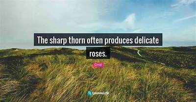 Ovid: 'The Sharp Thorn Often Produces Delicate Roses.'