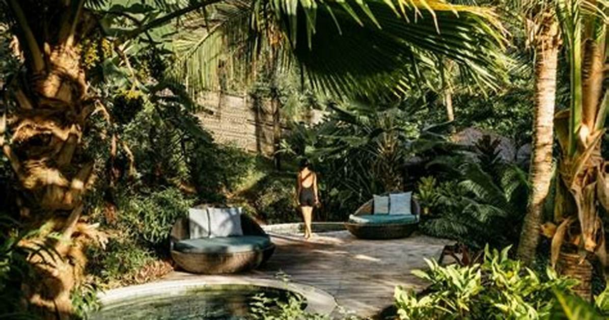 Paradise Detox Escape and Restore In