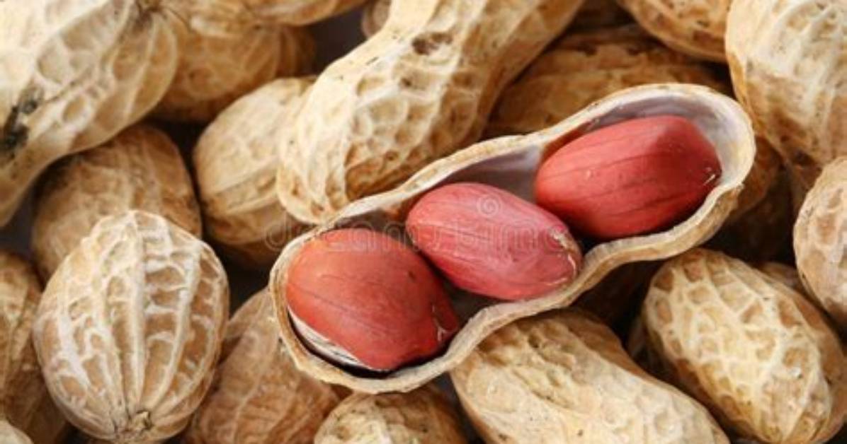 Peanut