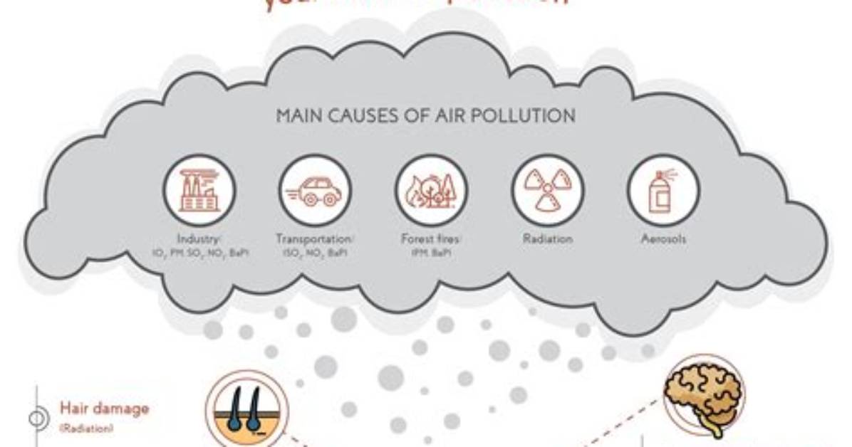 People Who Study the Effects of Human Activities on Earthâ€™S Land, Air, Water, and Living Things Are