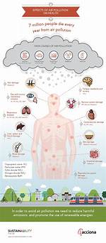 People Who Study the Effects of Human Activities on Earthâ€™S Land, Air, Water, and Living Things Are