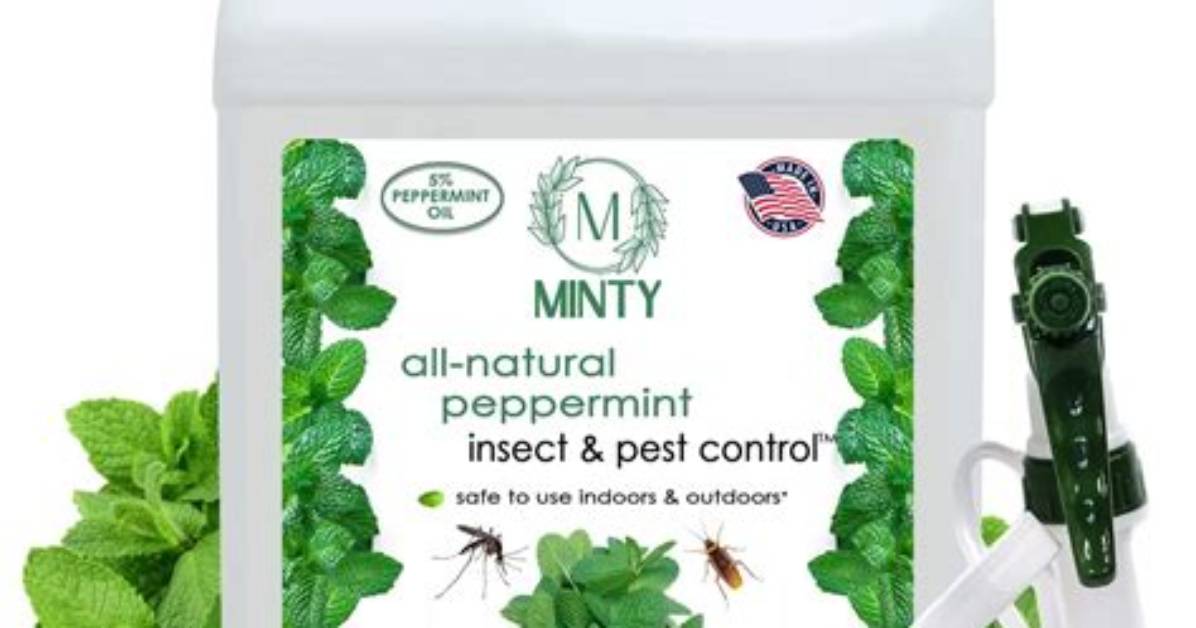 Pigeon Control with Peppermint