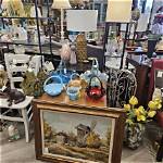 Plano Thrift Stores: Best Finds & Deals!