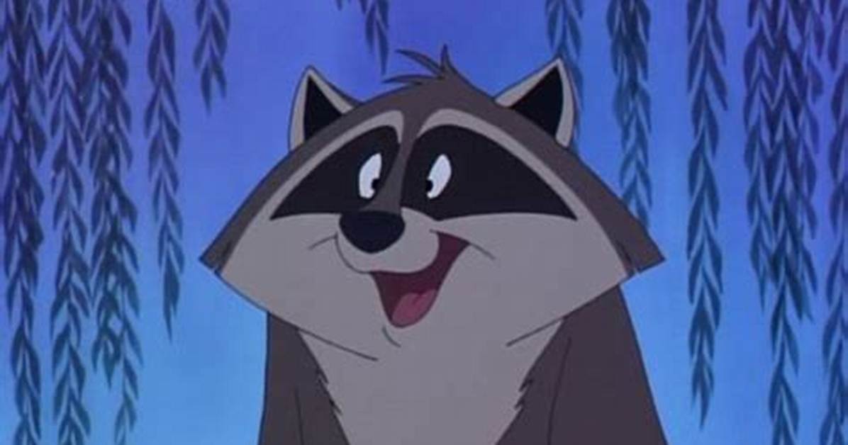 Pocahontas Disney Raccoon: Exploring the Enchanting Sidekick