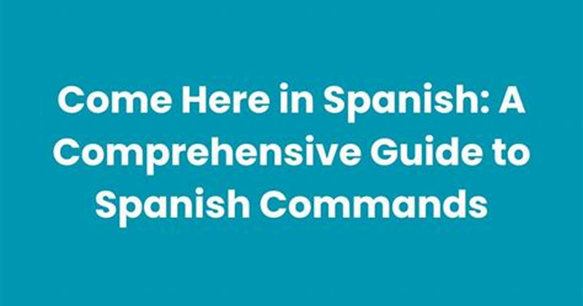 Polla: a Comprehensive Guide to the Spanish Country