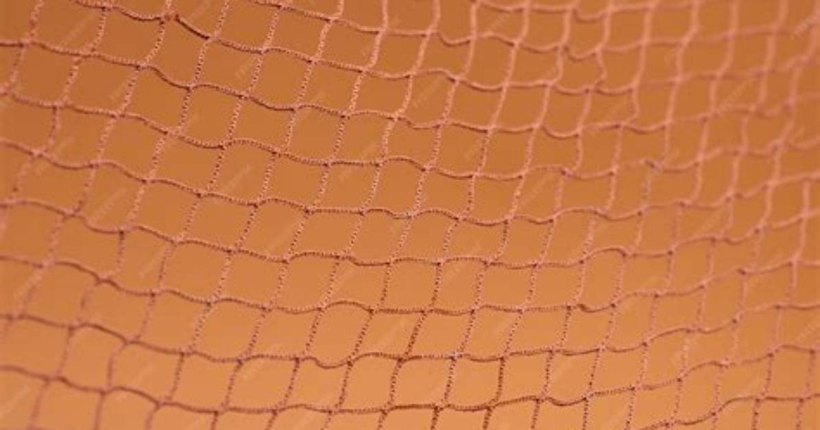 Pomaika I Brown Net