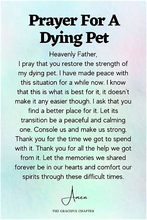 Prayer for Dying Dog: a Heartfelt Guide to Comfort Your Beloved Pet