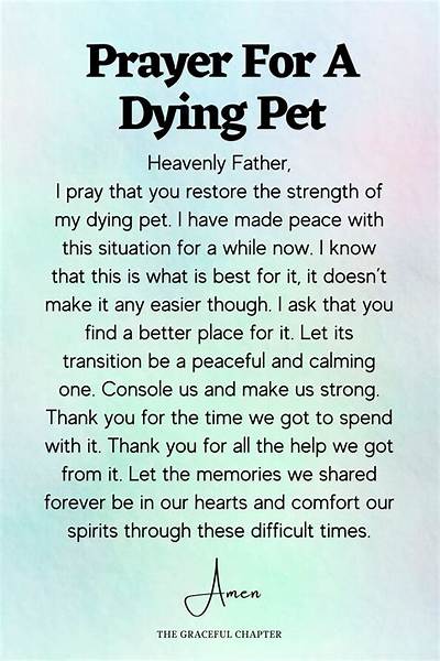 Prayer for Dying Dog: a Heartfelt Guide to Comfort Your Beloved Pet