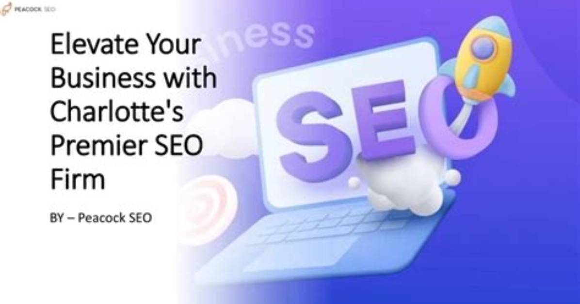 Premier Seo Expert Elevate