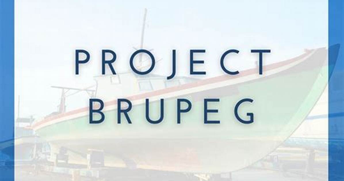 Project Brupeg Video Statistics