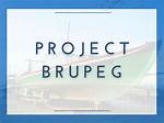 Project Brupeg Video Statistics
