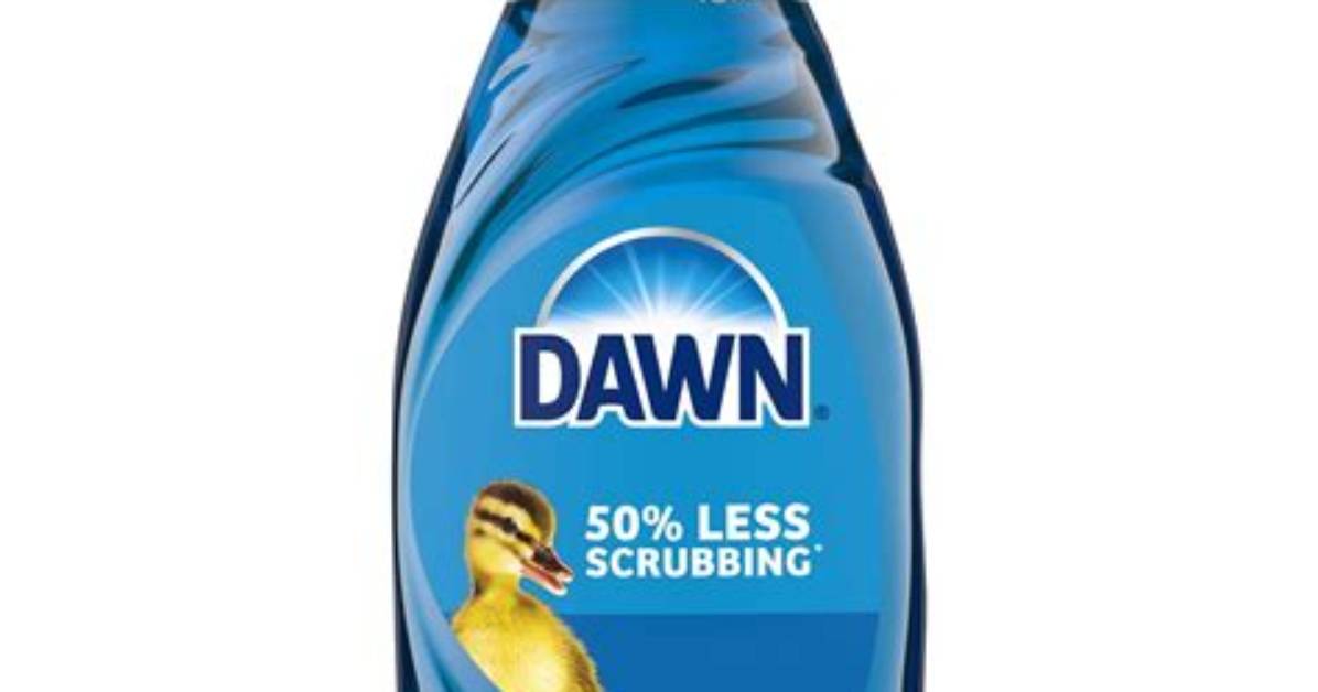 Properties of Liquid Dish