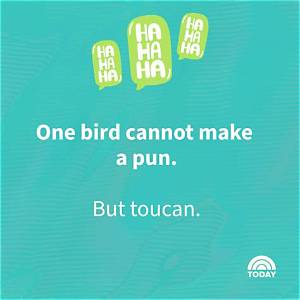 Puns Jokes: the Art of Wordplay That Will Leave You in Splits
