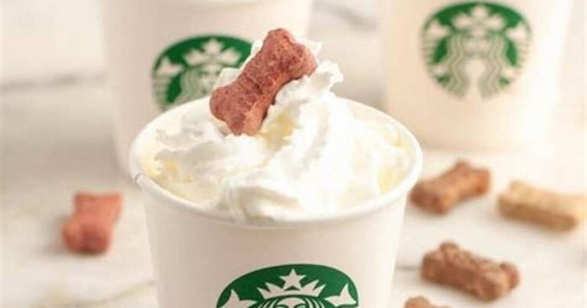 Puppy Cup Starbucks: Adorable Treats & Deals!