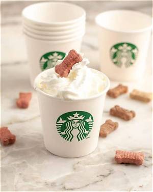 Puppy Cup Starbucks: Adorable Treats & Deals!