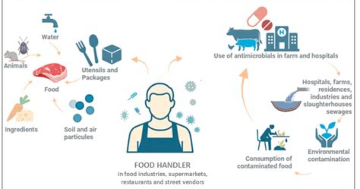 Quaker Salmonella: a Detailed Insight into Food Safety Concerns