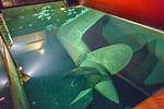 Queen Mary Propeller: a Fascinating Dive into Maritime History