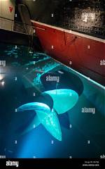 Queen Mary Ship Propeller: a Fascinating Look at Its Engineering Marvel