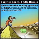 Random Useless Facts Funny