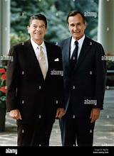 Reagan Vice President: a Comprehensive Overview of the Administration