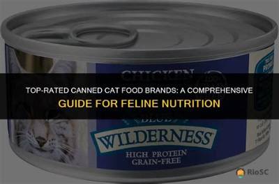 Recommended Canned Cat Food: a Comprehensive Guide for Your Feline Friend