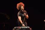 Reggie Watts Net Worth