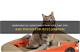 Removing Cat Scratches | Homesteady