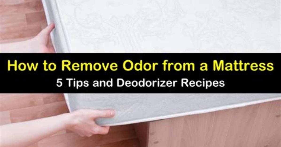 Removing Odor