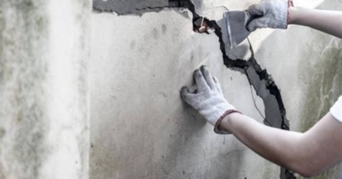 Repairing a Wall After a Dog