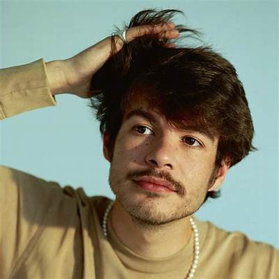 Rex Orange County Bio, Wiki, Age, Height, Girlfriend, Parents, Songs, Quotes, and Net Worth.
