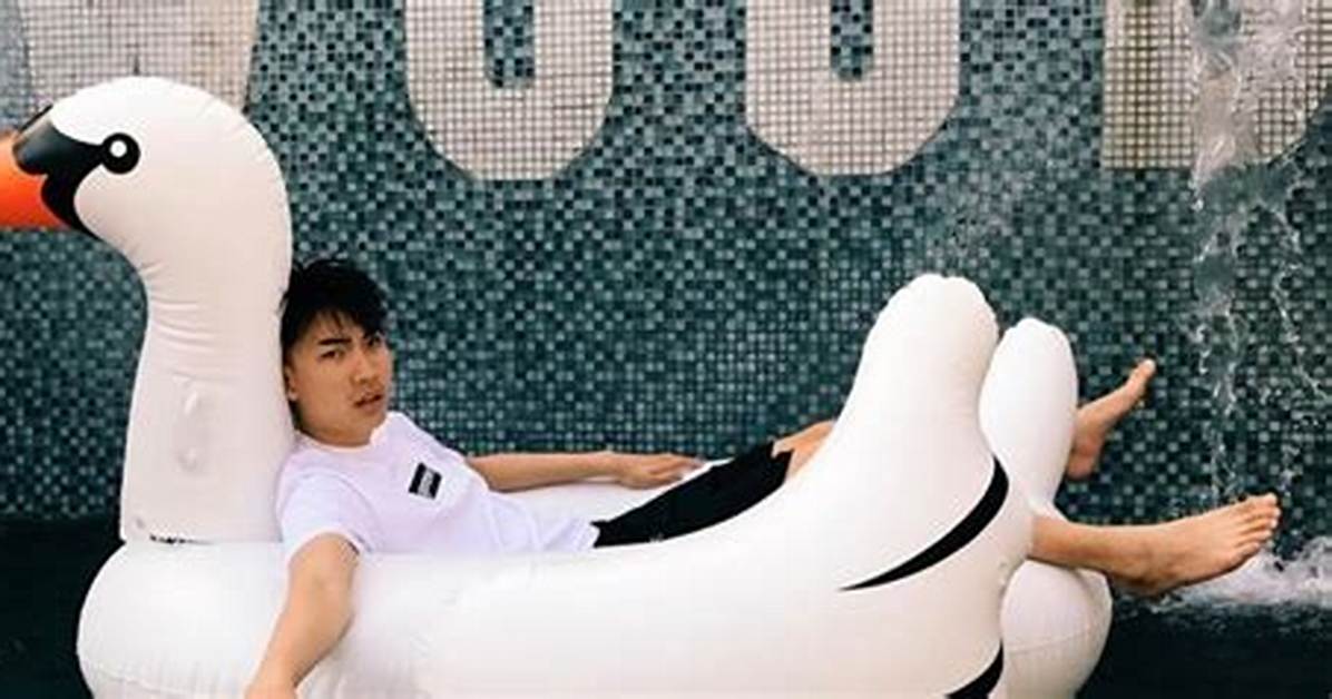 Ricegum Bryan Le Net Worth