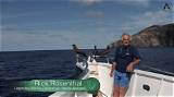 Rick Rosenthal Net Worth