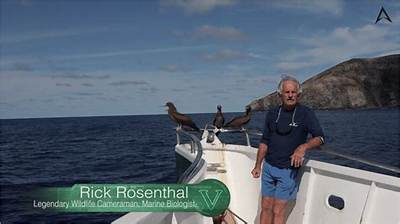 Rick Rosenthal Net Worth