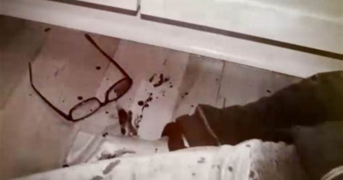 Rip Ellen Greenberg Death Scene Was It a Suicide or Homicide Details To