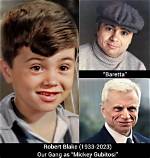 Robert Blake: a Comprehensive Look at His Life, Career, and Legacy