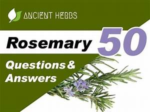 Rosemary Elicolan: a Comprehensive Guide to Her Life, Achievements, and Influence