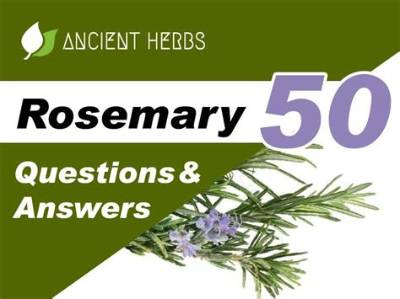 Rosemary Elicolan: a Comprehensive Guide to Her Life, Achievements, and Influence